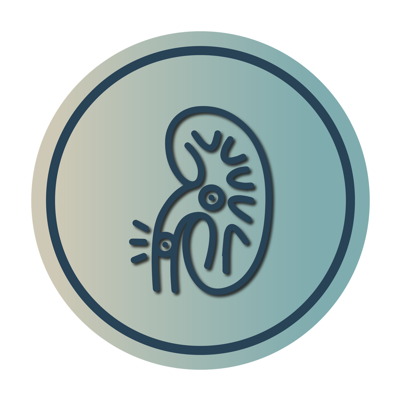 Icono Crecimiento Prostático